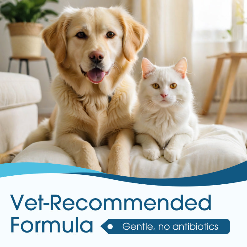 🐶🐱| 🌈Vitalisys® Advanced Pet Ear Cleaner & Itch Relief Drops — Gentle Ear Wax Removal, Odor Eliminator, Yeast & Mite Infection Soothing, Anti-Inflammatory & Daily Ear Care for Dogs & Cats 👂